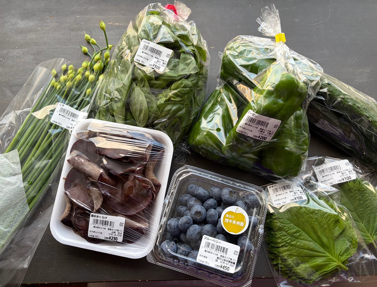 ws_aslp's tweet photo. #オドデ館 の野菜🫛やばいッ！

ケール🥬山東菜、春菊、キクラゲ
バジル🌿空芯菜、大葉、ニラの芽🌱、朝摘みピーマン🫑などなど…
ある意味天国です😻 https://t.co/Fq3NlzZhBT