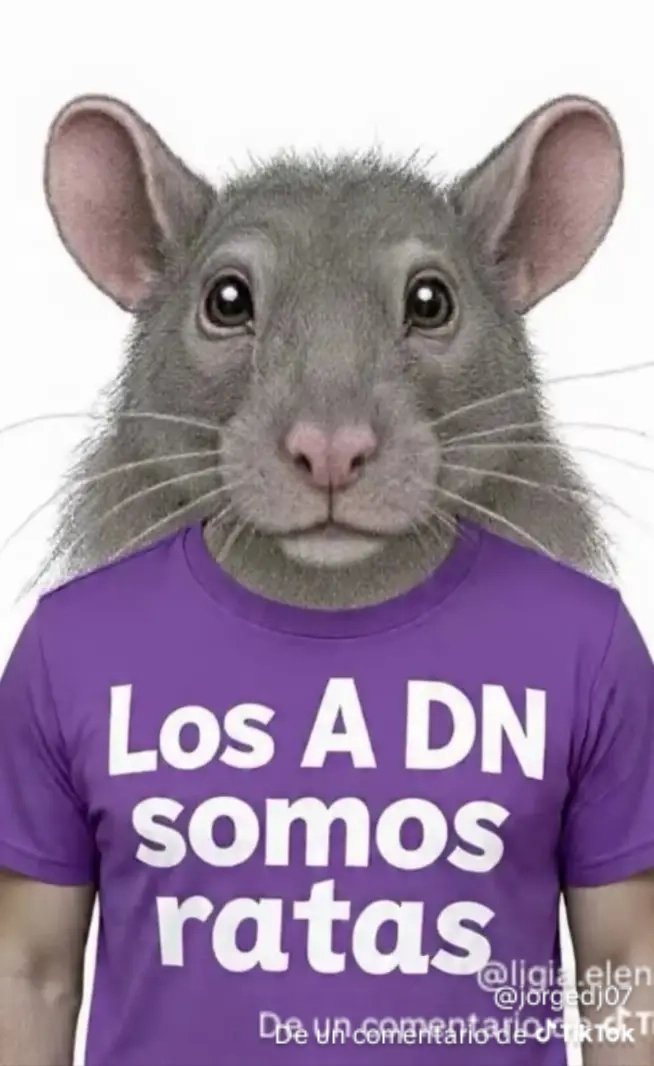 LENINTITOS's tweet photo. @JoseJulioNeira @DanielNoboaOk Tarea de hijos de puta, lame culos del Narcobananero @DanielNoboaOk aplaudir como focas, la corrupción la miseria, la falta de medicinas, sin empleo ya sube laa gasolina en 5 días, y eso eat bien florindos estúpidos, #FUERANOBOAFUERA #REVOCATORIADENOBOA https://t.co/HzVT3rlZZ7