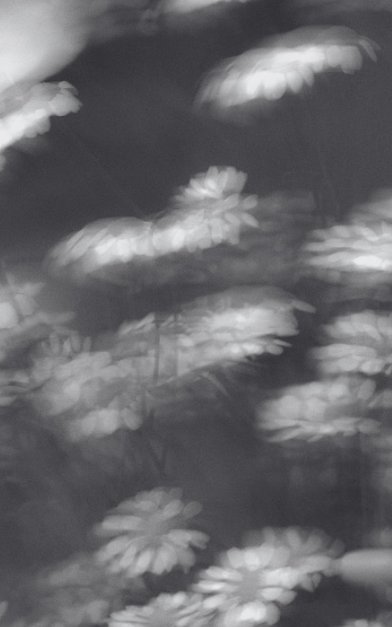 iwritepunk's tweet photo. Somewhere between poetic and tragedy, 

                      half light, half longing https://t.co/OHaJ9x4R7K