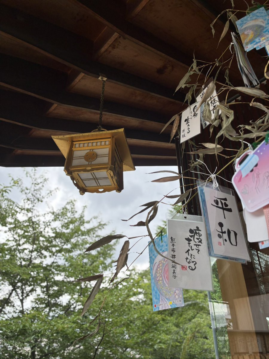 mikina0's tweet photo. 今日は七夕🎋
みんなの願いが叶いますように⭐️

MIKINA https://t.co/Jhq9CrblYv