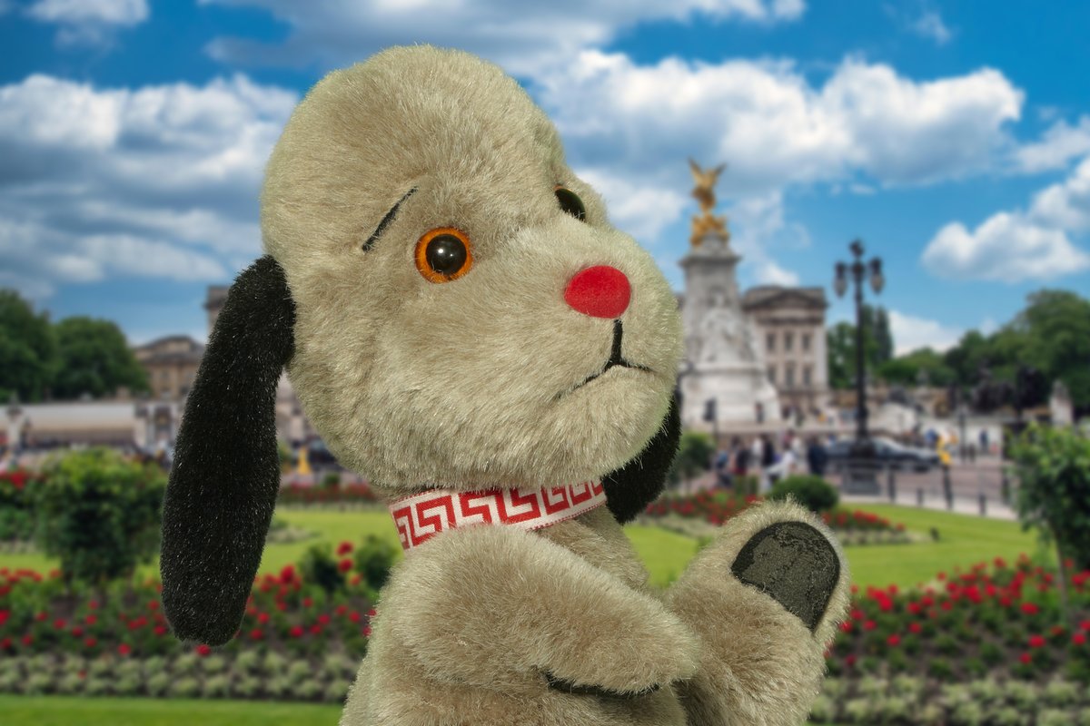 Sootyandco's tweet photo. We are sorry to announce that Sweep will not be staying at Buckingham Palace this week. https://t.co/XTm0YmI4q6