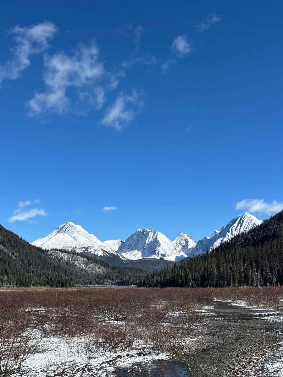 JhandayKhan's tweet photo. While hiking…Stunning indeed! https://t.co/1AKsKxmNN7