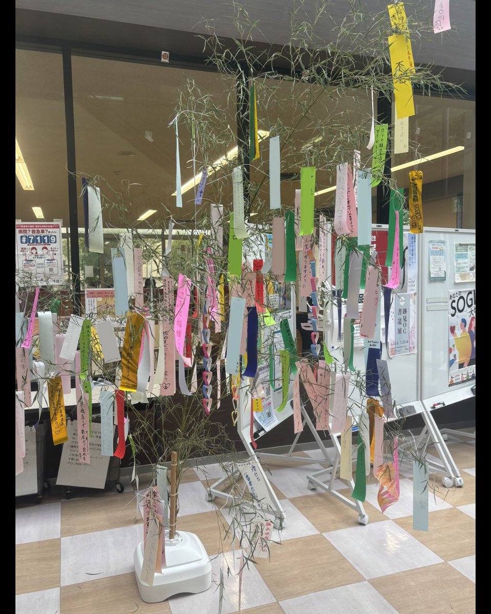 atomi_ss's tweet photo. 本日7月7日は七夕でした🎋
新座キャンパス学生食堂の前には、学生の皆さんの思い思いの願いが綴られた短冊が沢山飾られています✨
皆さんの願いが叶いますように！ https://t.co/hDTCfmo8jv