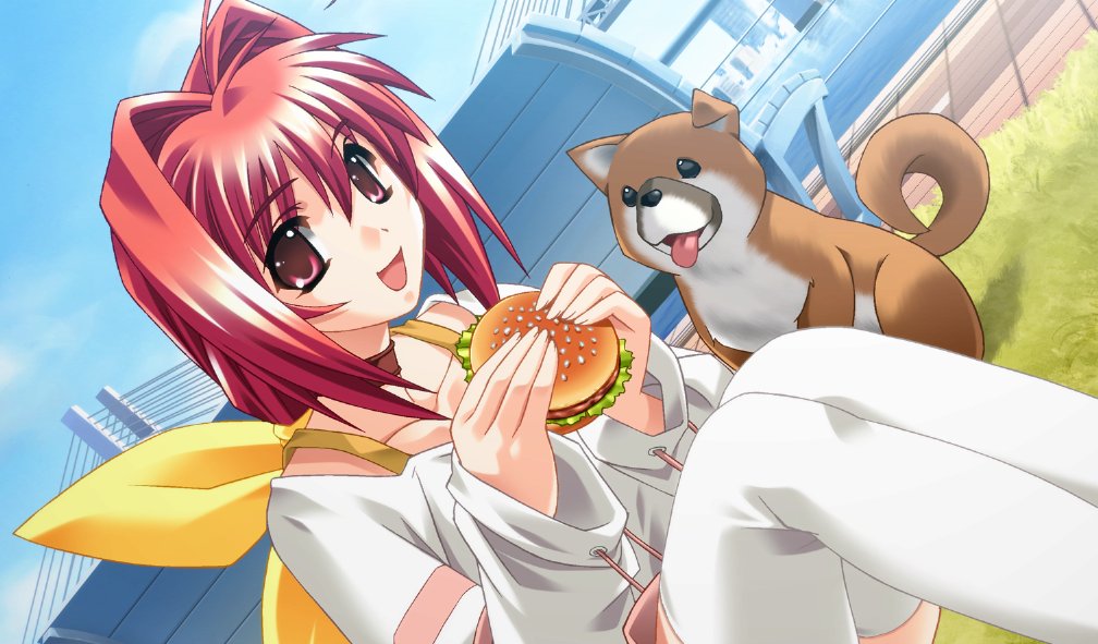 3xSocks's tweet photo. Happy birthday to Sumika and Aoko, two of the all time best girls!! Gotta love Tanabata birthdays 💕 https://t.co/boUoosNKn4