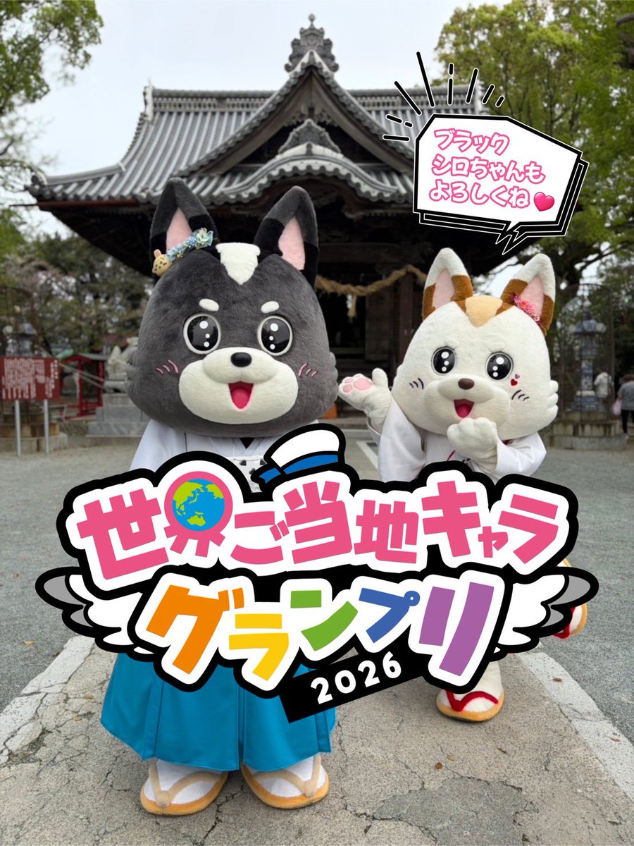 公式】福島八幡宮ブラックシロちゃん (@b_shirochan) / Posts / X