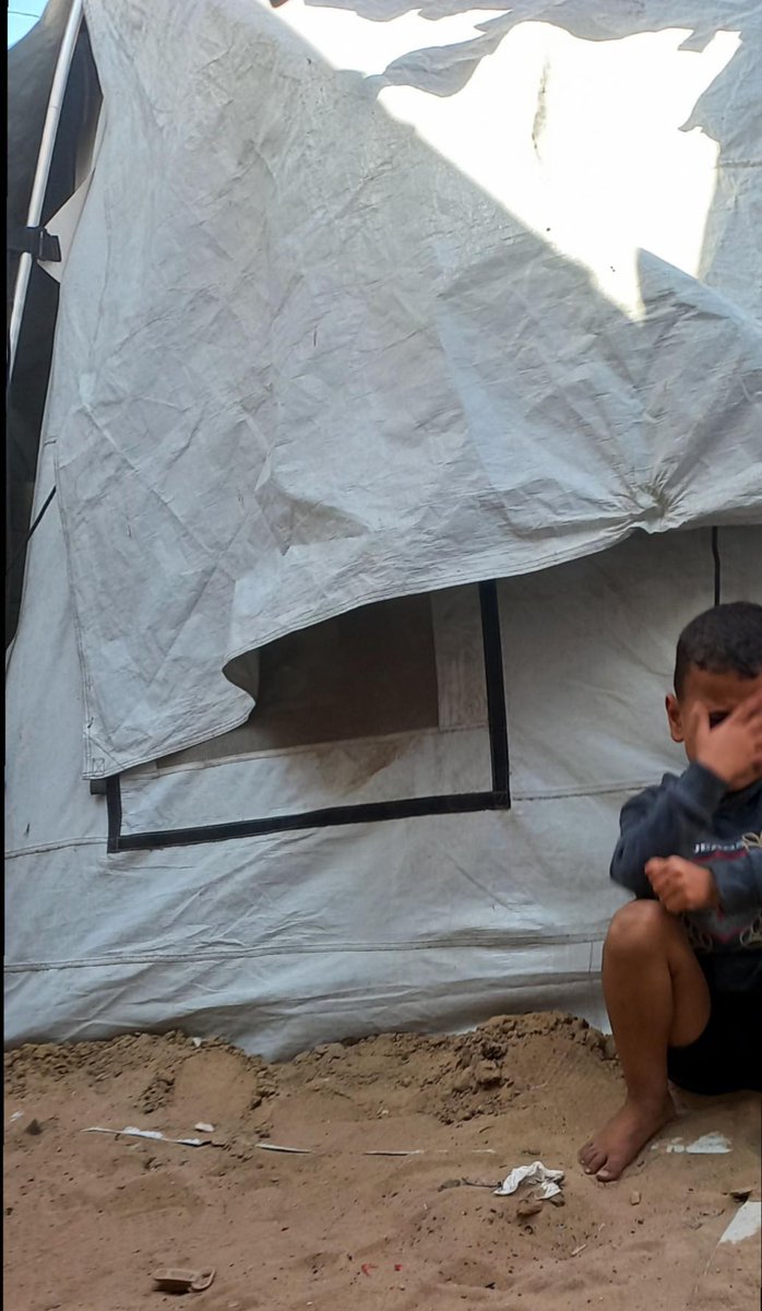 hayam_fouda's tweet photo. There is a faint voice that needs your support so it won't be silenced.
Please support my family—we need food, medicine, money for rent, and help paying off our debts. Don't leave us alone.
https://t.co/u0MRF4Prxa
#gaza #palestine #help #mutualaid #غزة # فلسطين #standWithUs https://t.co/lxmQq5oYPK