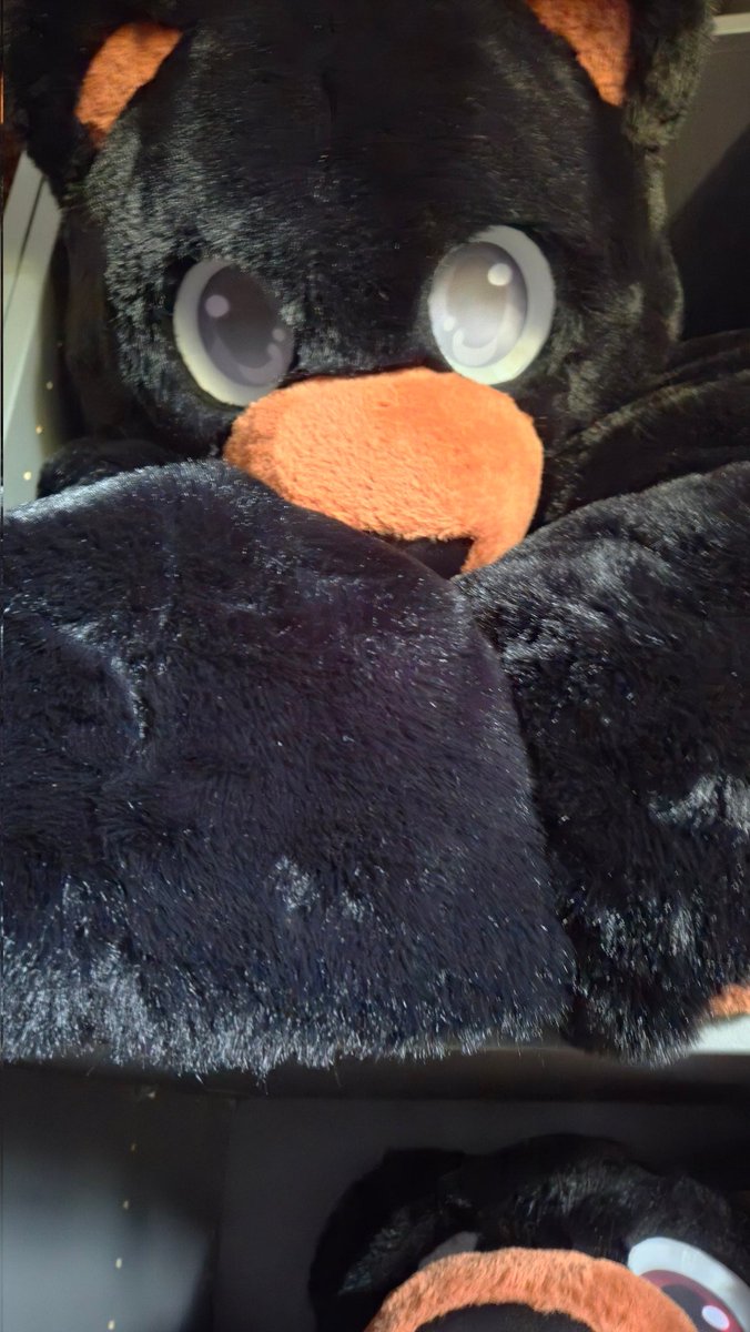 MallowPlushToy's tweet photo. The bears coming out to play today 🧸 https://t.co/oPBfVFleC2