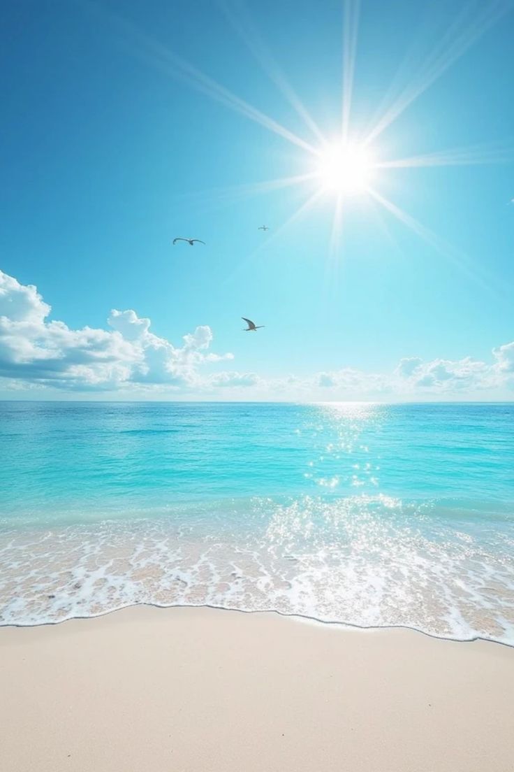 Aqua Vibes tweet media