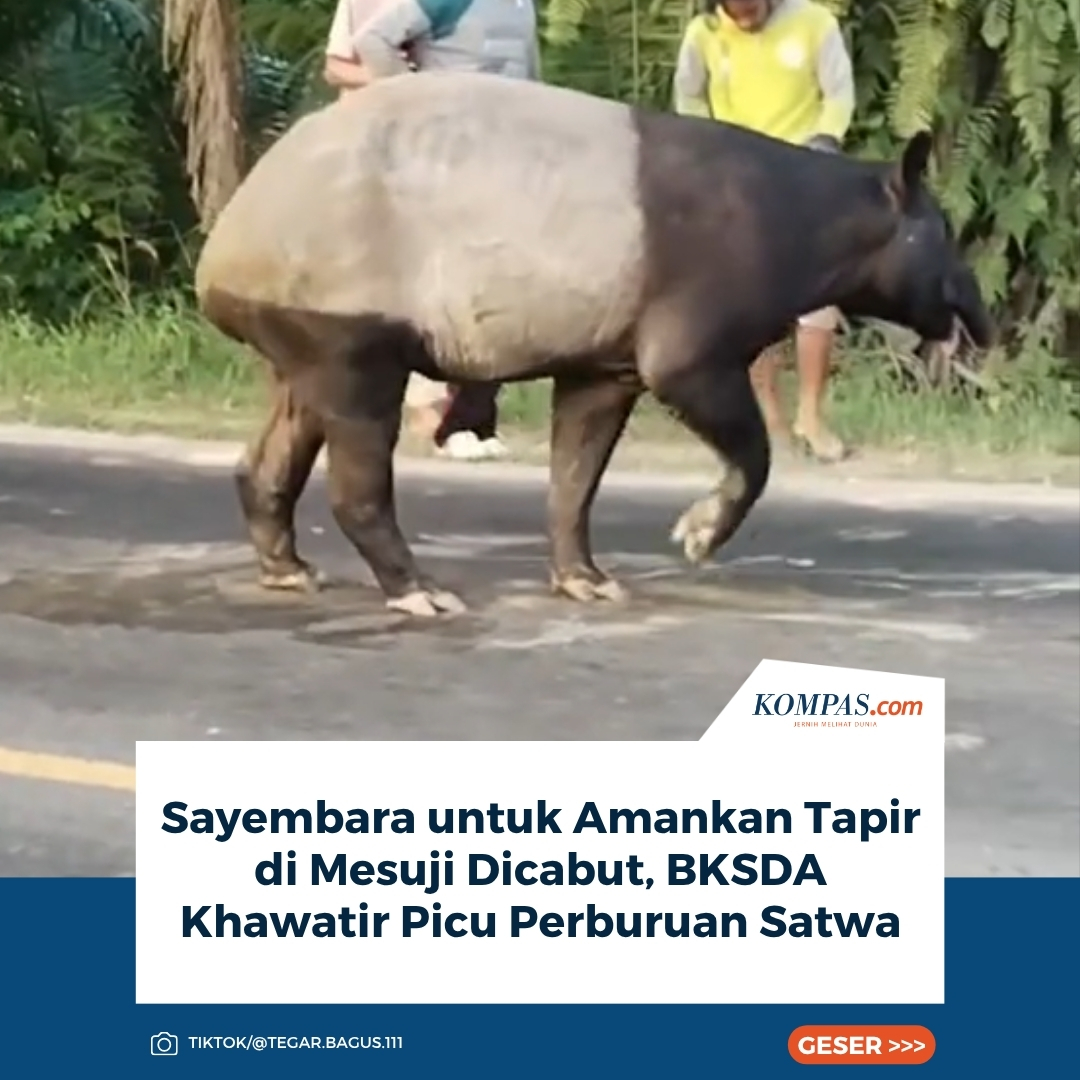 Kompas.com tweet media