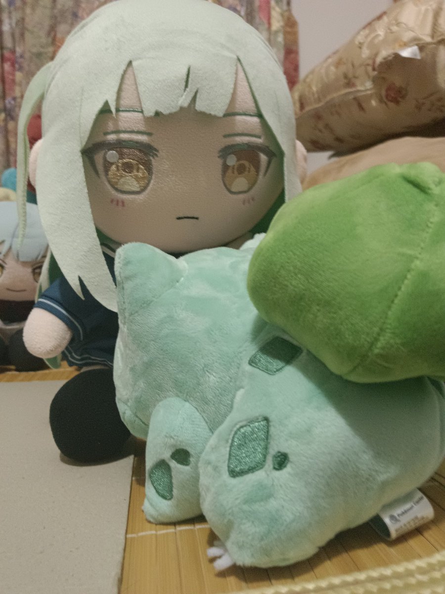ChenB53017's tweet photo. 越看越越覺得妙蛙種子根本是大睦的寵物
雖然原本有在掙扎要不要買木木梟（睦睦梟
但果然草系御三家最喜歡妙蛙種子 種子 種子 https://t.co/d7uoBO1hJ2