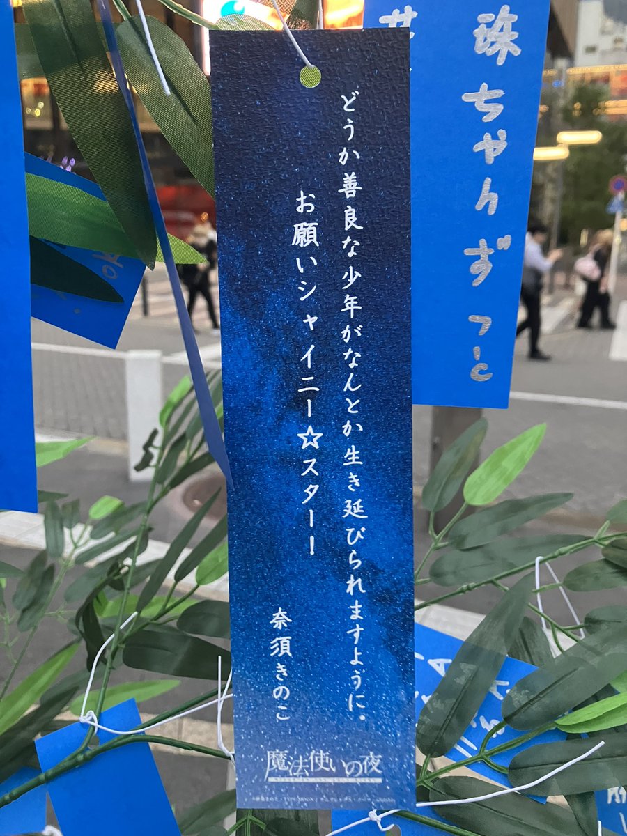 humanity6's tweet photo. 奈須さんとこやまさんの短冊！ https://t.co/ri3ykDGuuu