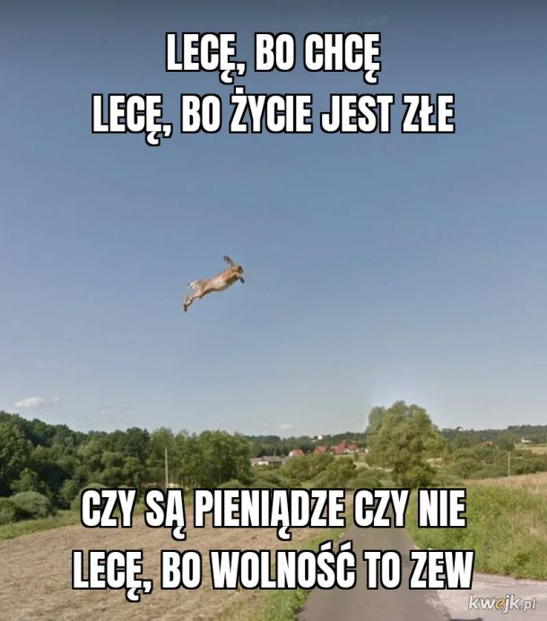 niepokorny81's tweet photo. @Naprawnik π π΅π± #Zhumorem https://t.co/zNLucouPiH