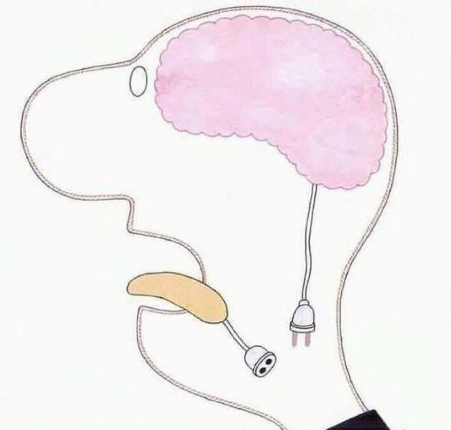 ✌👀 𝑻𝒊𝒎𝒆 𝑻𝒓𝒂𝒗𝒆𝒍𝒆𝒓 🇺🇦 tweet media