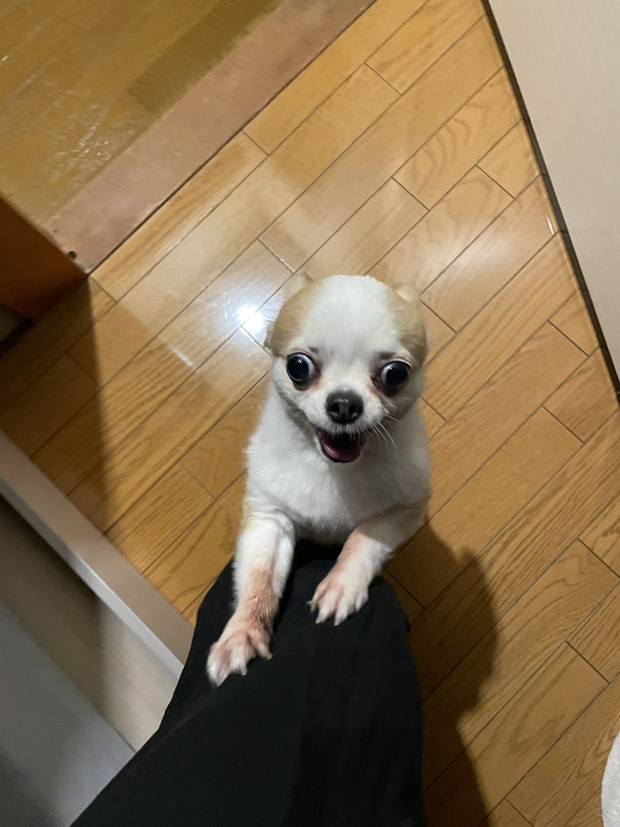 donyoku_jp's tweet photo. https://t.co/2FlxAJxDeX