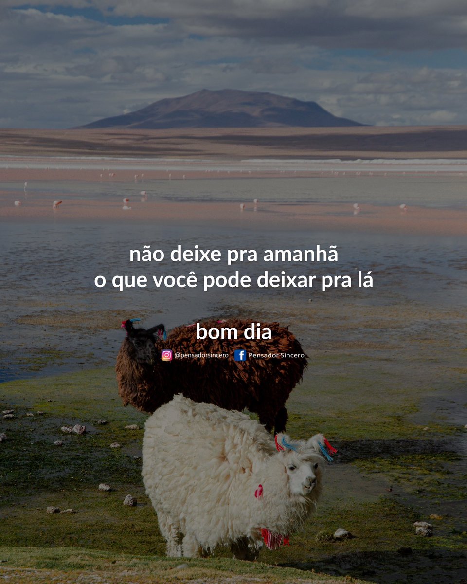 pensadortwitta's tweet photo. https://t.co/35nEeFW64A
