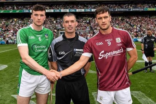 Cuimhnigh ar Luimneach : Limerick Supporters Group tweet media