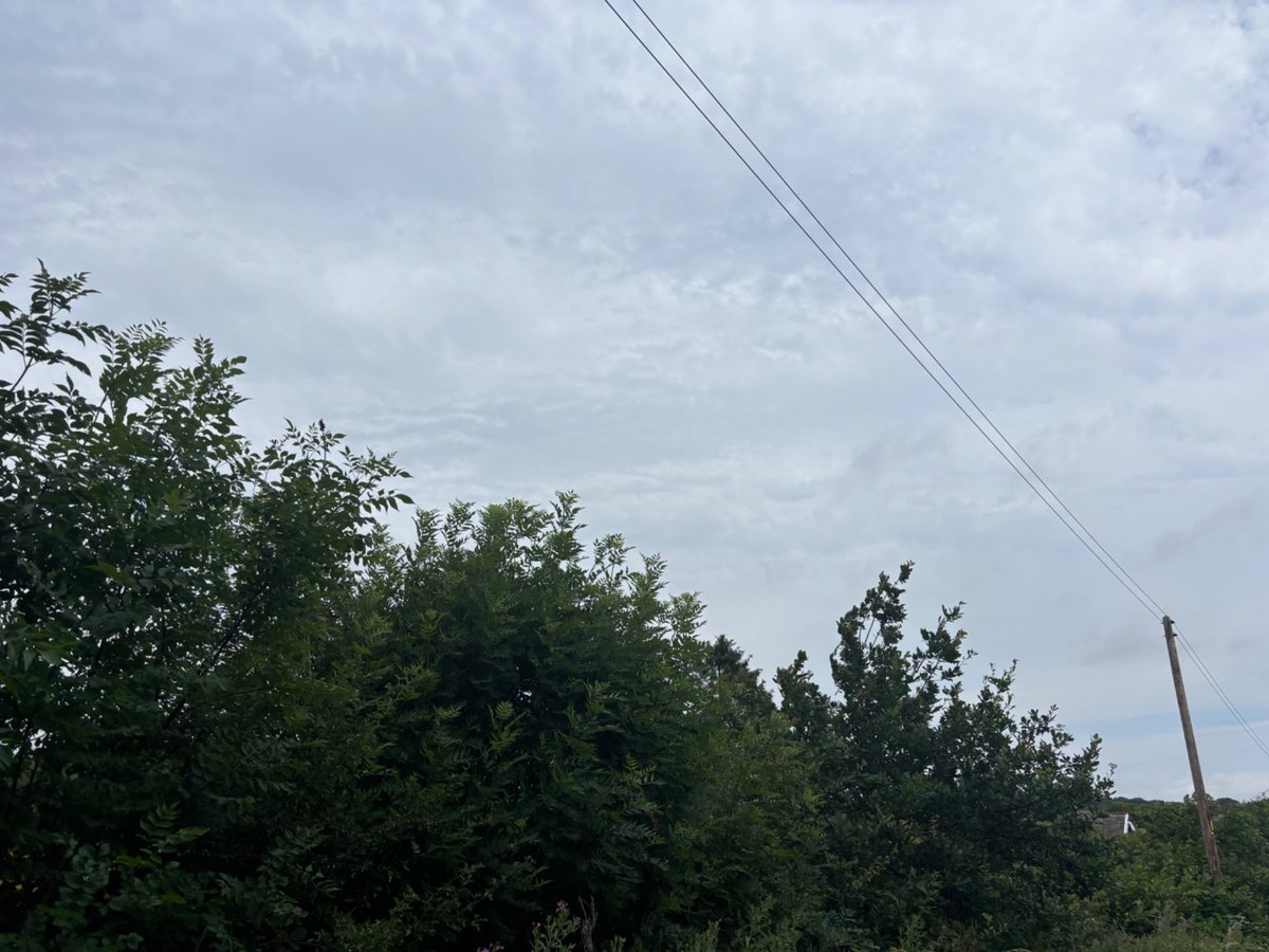 scam_demic's tweet photo. Another summers day geo engineered with zero sun and the full grey chemical blanket. Zero sun in July so far…

#GeoEngineering
#chemtrails
#CrimesAgainstHumanity
#ClimateScam
#AbolishGovernment https://t.co/LVhZkUGG2h