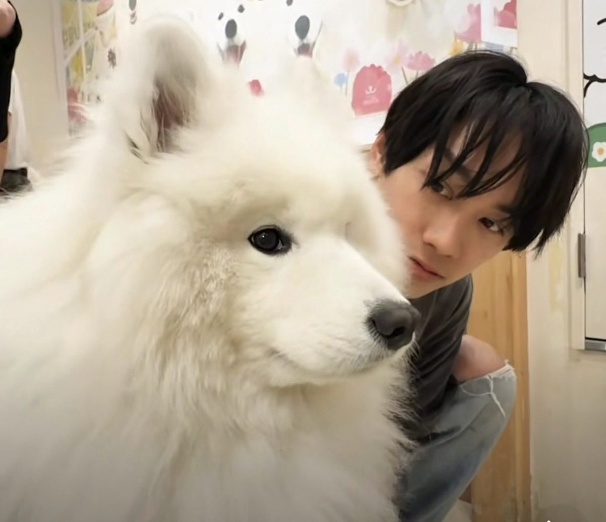 jo_tan0728's tweet photo. なにわちゃんとサモエド……

かわいいが大渋滞しとるやないかーーーい😍😍😍😍😍😍😍😍😍😍

こんな幸せな可愛いしかない動画を七夕に見せてくれる運営様✨✨
ありがとうございますーーー🙏🙏🙏

#なにわ男子
#藤原丈一郎 

https://t.co/lpvD1E0nBt @YouTubeより https://t.co/r74a0avXsG