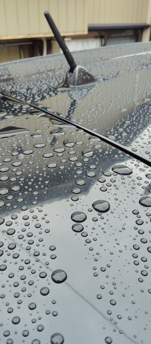 gontamomojiro's tweet photo. 【梅雨らしい梅雨】
今年の6月は雨がよく降りました。
ダブル台風もありましたね。
2ヶ月前に、
#手洗い洗車 をして、
#SOFT99のRainDrop
でワックスしました。
期待を大きく超えて、
今でもすばらしく撥水しています。
#SOFT99
#レインドロップ https://t.co/qZEM5iD7V9