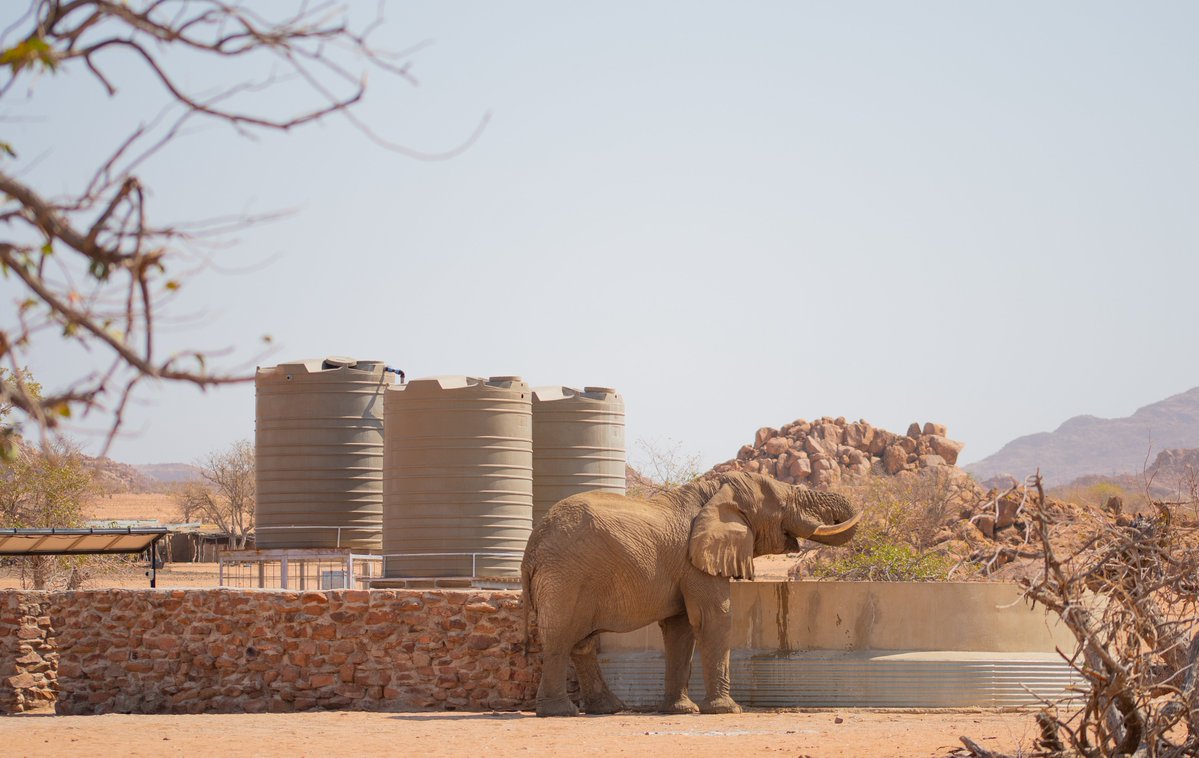 ElephantCrisis's tweet photo. Desert-adapted elephants in northwest Namibia share scarce water with the communities around them across a 2-million-hectare range. The ECF is funding a vehicle and logistics for @EHRANamibia to deploy a Mobile Coexistence Unit across the full landscape.

📸 EHRA https://t.co/9OkZcaEP8T