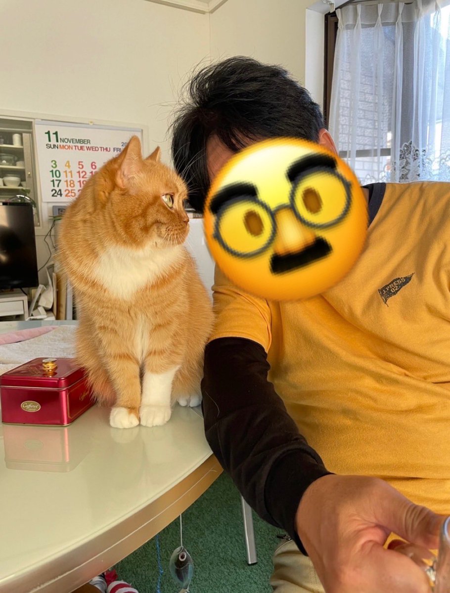 shunbo7's tweet photo. @raira_AG パパすげぇ！！DIYスキルレベマじゃん✨俺ん家は母ちゃんがキャットタワー組立よ笑　
でも、パパが当初反対だったエピソードはウチも一緒だったよ！ﾎﾏﾆ今はデレ！
ネロくんのびのびしてるなぁ
画像:親父とたまさぶろう（親父の遺影にする予定←仮） https://t.co/X9jvyuHcp6