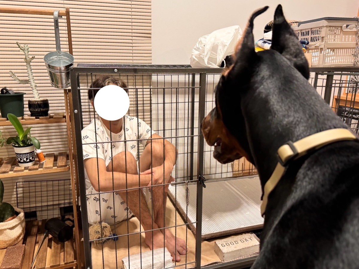 damedame_ol's tweet photo. 週末は友人がお泊まりに来ていました
居心地良さそうに過ごしてくれてよかったです https://t.co/tO6QZhqR3C