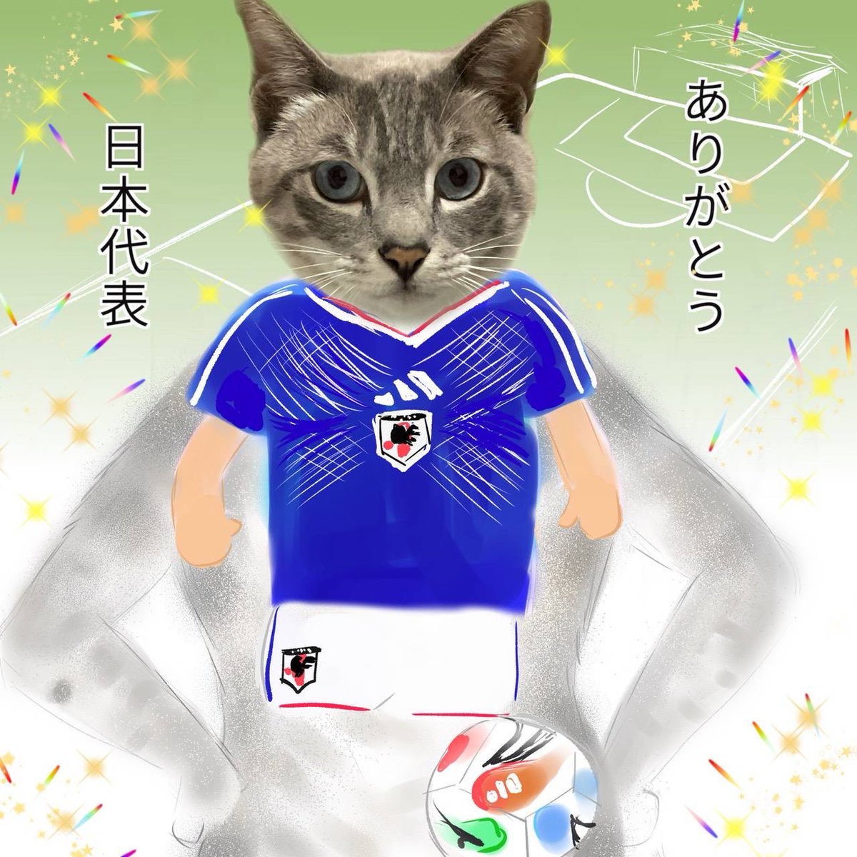 gM6mF6Ye8orX3u4's tweet photo. ワールドカップ　　#こわがりねこのそら　#ねこ　#ねこかつ　#保護猫　#cat #猫のいる暮らし   #漫画がよめるハッシュタグ　#マンガ　#2026年　#7月　#ねこカフェ　#キャット　#ワールドカップ #wc https://t.co/pgiRao0PJb