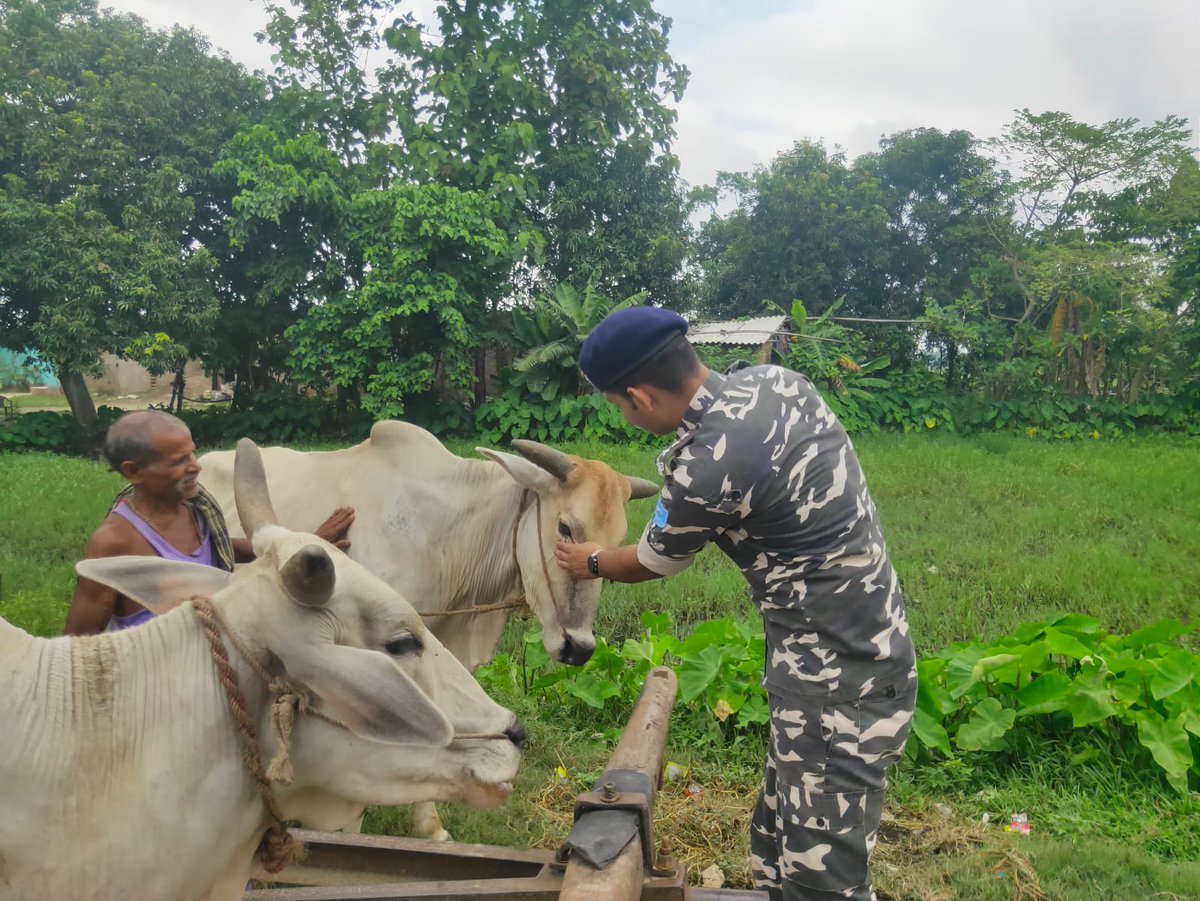 48bnssb's tweet photo. दिनांक 07 जुलाई 2026 को 48वीं वाहिनी, स.सी.ब., जयनगर द्वारा वाइब्रेंट विलेज बेलही में पशु चिकित्सा शिविर आयोजित किया गया। 37 पशुपालकों को लाभ मिला तथा 196 पशुओं का निःशुल्क स्वास्थ्य परीक्षण एवं उपचार किया गया।
@SSB_INDIA 
@ssbpatna 
@ssbshqmzp https://t.co/5YSGy7Pd8l