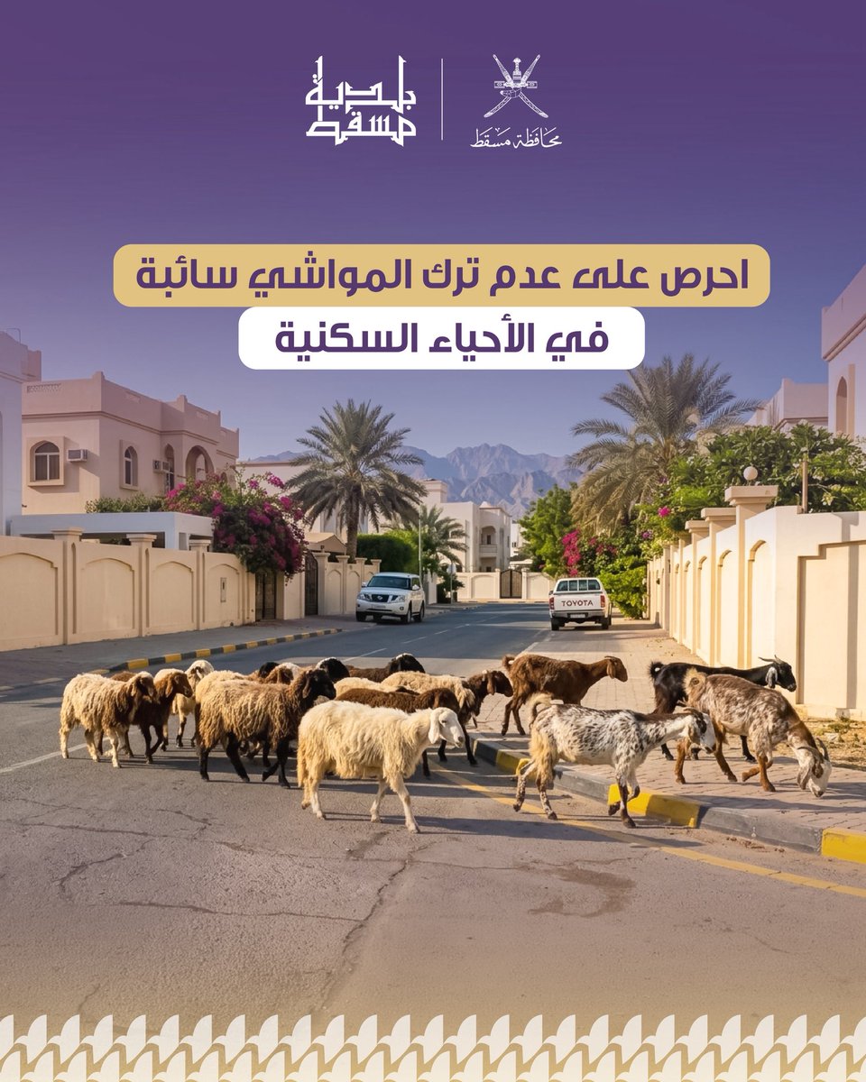 M_Municipality's tweet photo. المواشي السائبة ليست مجرد مشهد عابر، بل قد تكون سببًا في وقوع الحوادث وتعطيل الحركة المرورية.
كن جزءًا من الحل، ولا تتركها تتجول في الأحياء السكنية.

#بلدية_مسقط
#مسقط_مستدامة_مزدهرة
#مسقط_بكم_أجمل https://t.co/51wpiNtXqB
