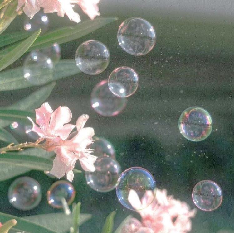 GaiaSerenity's tweet photo. when sunlight turns bubbles into rainbows https://t.co/r3sZsehNzW