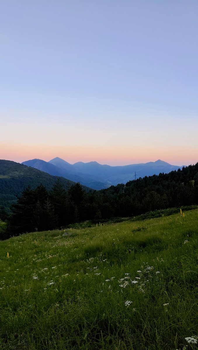 Dej_Mr's tweet photo. Šar-planina ⛰️🌿🍀💚 https://t.co/G9IdxtSHm2