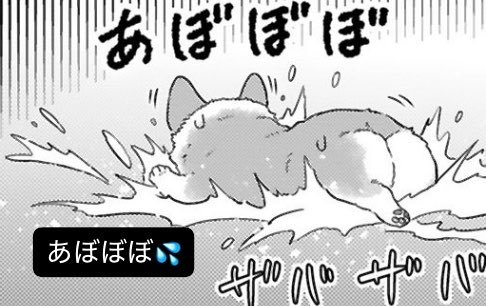 tono_to_inu's tweet photo. 明後日木曜日おひるに更新アリ❗️

『#殿と犬』
52話犬と再訪 

読みにきてね🤘🥳🤘 https://t.co/gyYL1EWr62