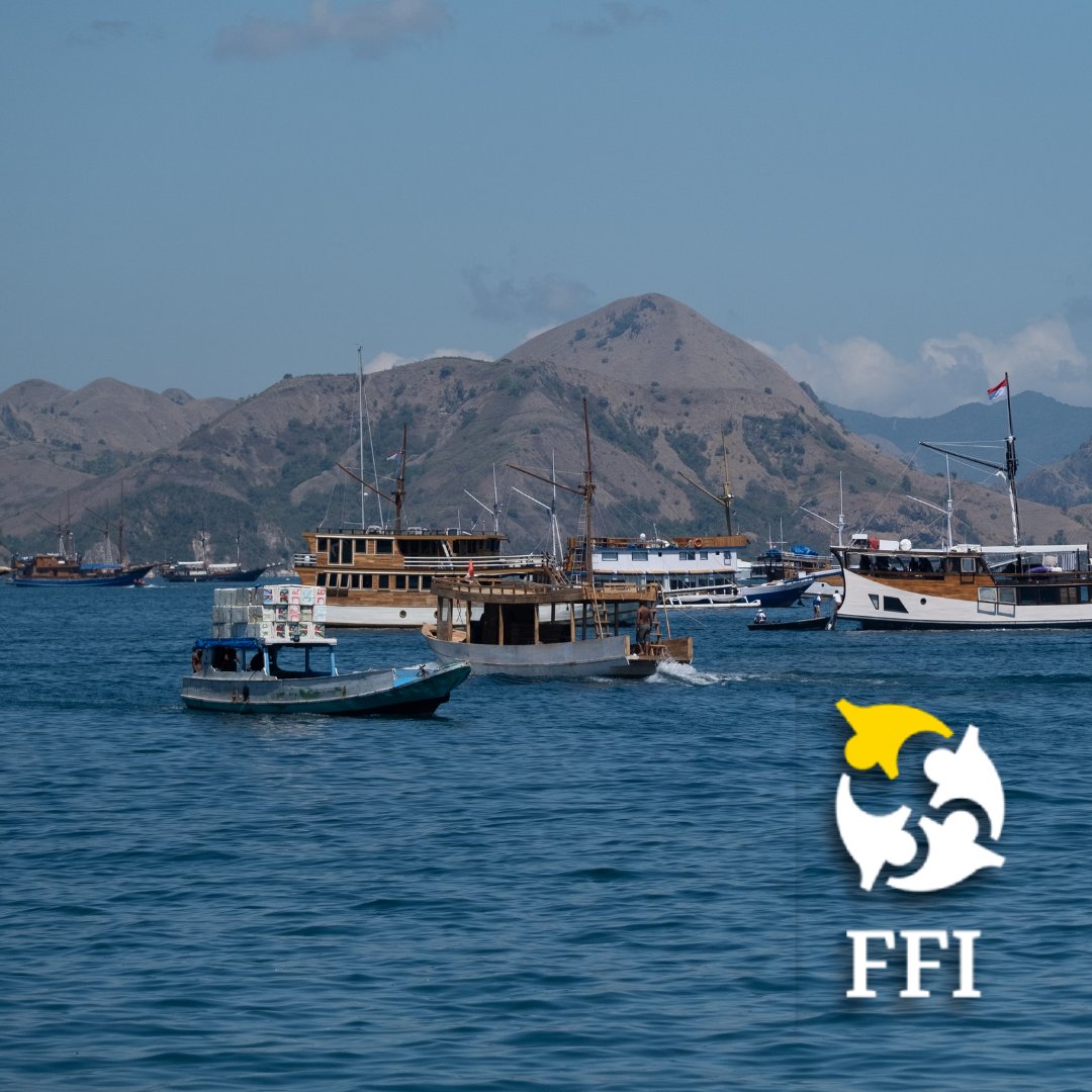 TheGwsp's tweet photo. From energy access to #WaterSecurity, global challenges demand shared solutions. 

3️⃣ experts weigh in on how the @WorldBank’s new Framework for Financial Incentives #FFI could reshape the future of global cooperation.

https://t.co/zX0nkQ11q2 https://t.co/x3WtksF7Ns
