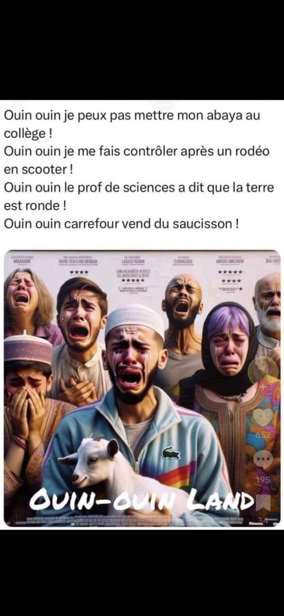 AlsacoF's tweet photo. @Portes_Thomas Il faut pas tenter de renverser des policiers ou des citoyens… simple non ? Même pour un lobotomisé islamo gauchiasse cela devrait être facile à comprendre. https://t.co/WVu4XYP14R