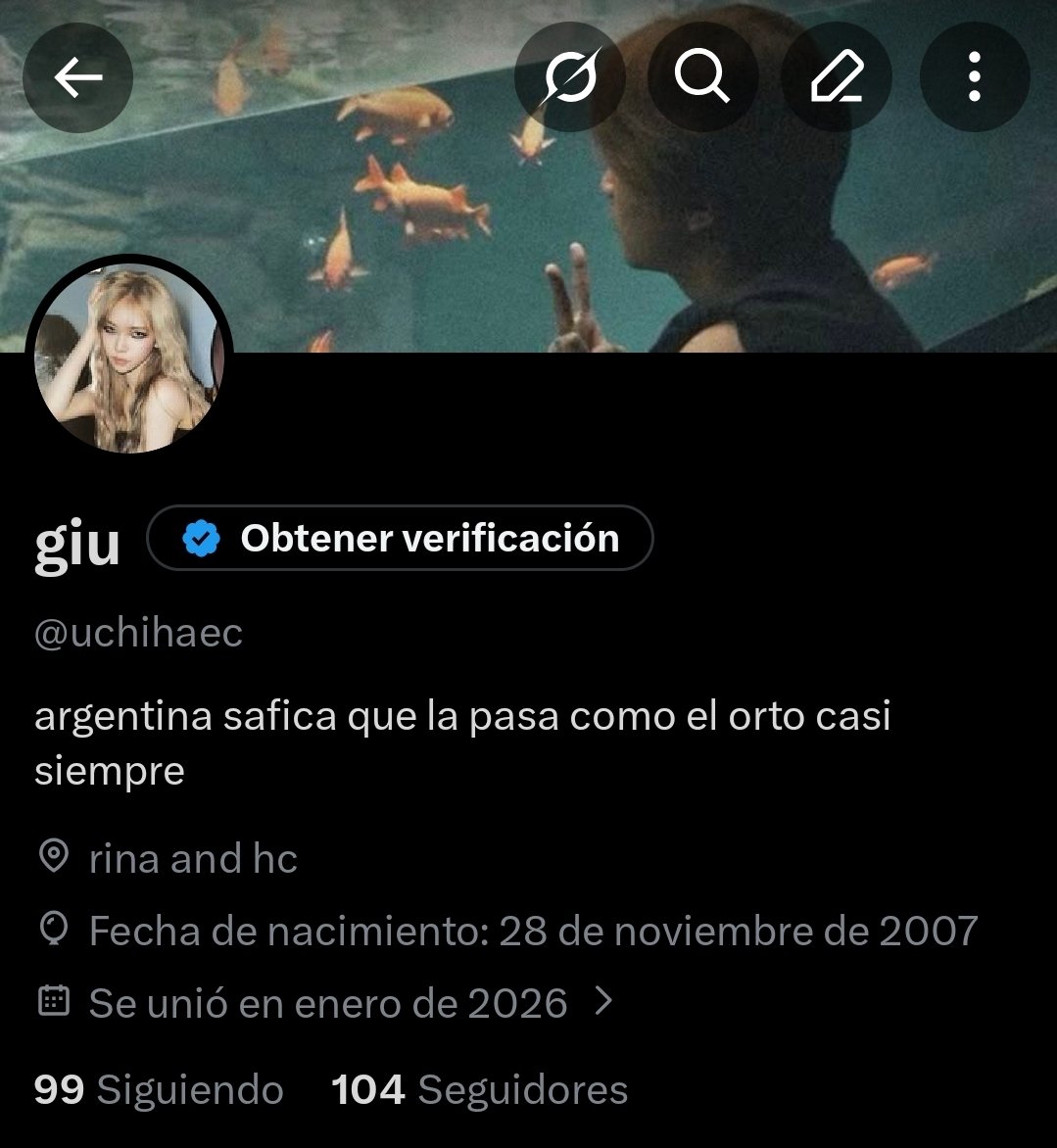 giu tweet media