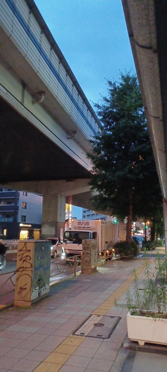 bolocas's tweet photo. 今年も、７月７日 午後７時７分！
#七夕の夜空を見上げよう
です！
昨年のツイートを見る限り、かなり暑かったのでしょうね。でも、今年は、湿度は高いものの、結構涼しくないですか？
季節の変わり目、みなさんどうぞご自愛ください。
ヾ(＞∀＜ヾ)

今年も、昨年と全く同じ場所から。
(*´▽｀*) https://t.co/fkPdu4byUh