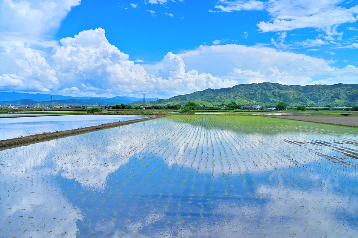 XBmBR0QytL03WsH's tweet photo. 田園風景 https://t.co/qlhdVqmmKD