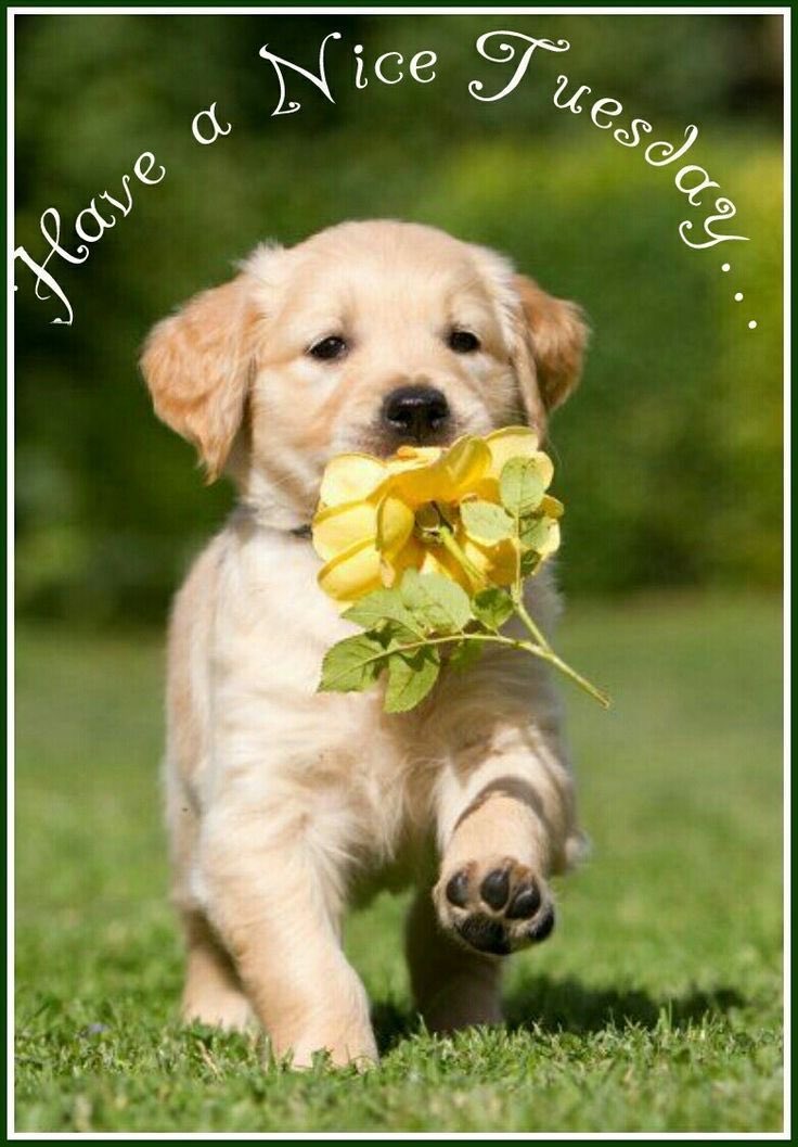 simply_love_fun's tweet photo. @Nik_Nak79 @CocoaBunnie #teamvick https://t.co/B3o1Lf7JuM