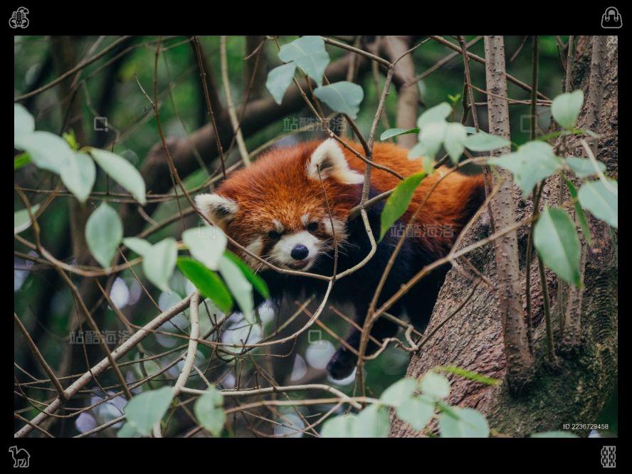 PPAATTMM06's tweet photo. The moderate temperatures of autumn improve sleep quality, leading to more peaceful and sufficient rest. Magic can be found in small, real things. https://t.co/2IlMs7lGQs