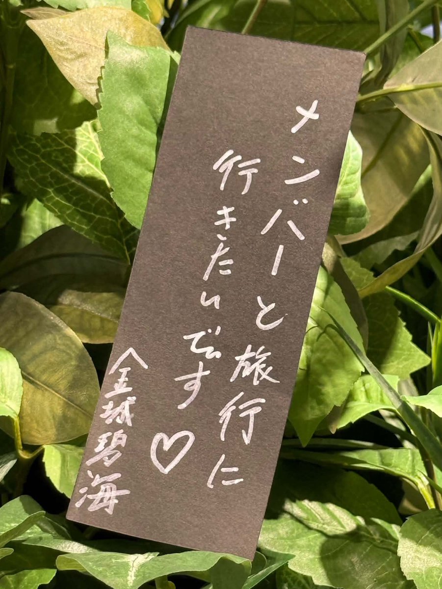 _56_s_'s tweet photo. いっぱい行きなさい😭😭😭 https://t.co/R7X1llNGU2