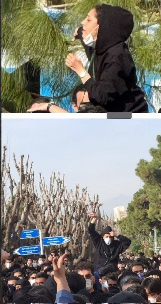 tymouri21's tweet photo. آقای من تورو میبخشه ولی من...من آرزو میکنم بند بند استخونات له بشه سهمیه‌ایِ بیشرف. https://t.co/imtHdDqAwB