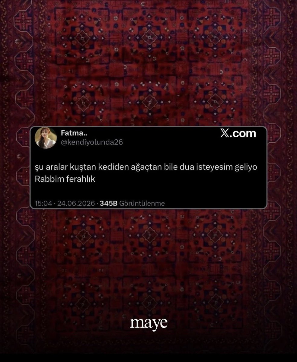 devranzeynep21's tweet photo. 🌿 https://t.co/BhmiNPzheh