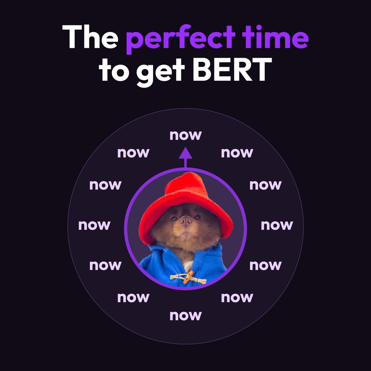 pvboy1237's tweet photo. @taitsgambles @btc_charlie Craving more $Bert
Holding till billion https://t.co/diEh0Drhi6