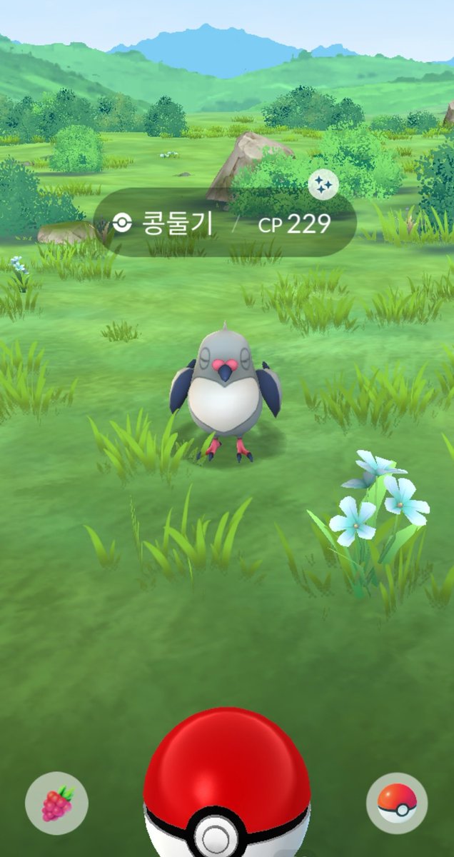 Game_Fuchs's tweet photo. 최근에 잡은 이로치들 ✨
켈리몬 이로치는 진짜 확률 대박이었어ㅠ https://t.co/RDSNVO1254