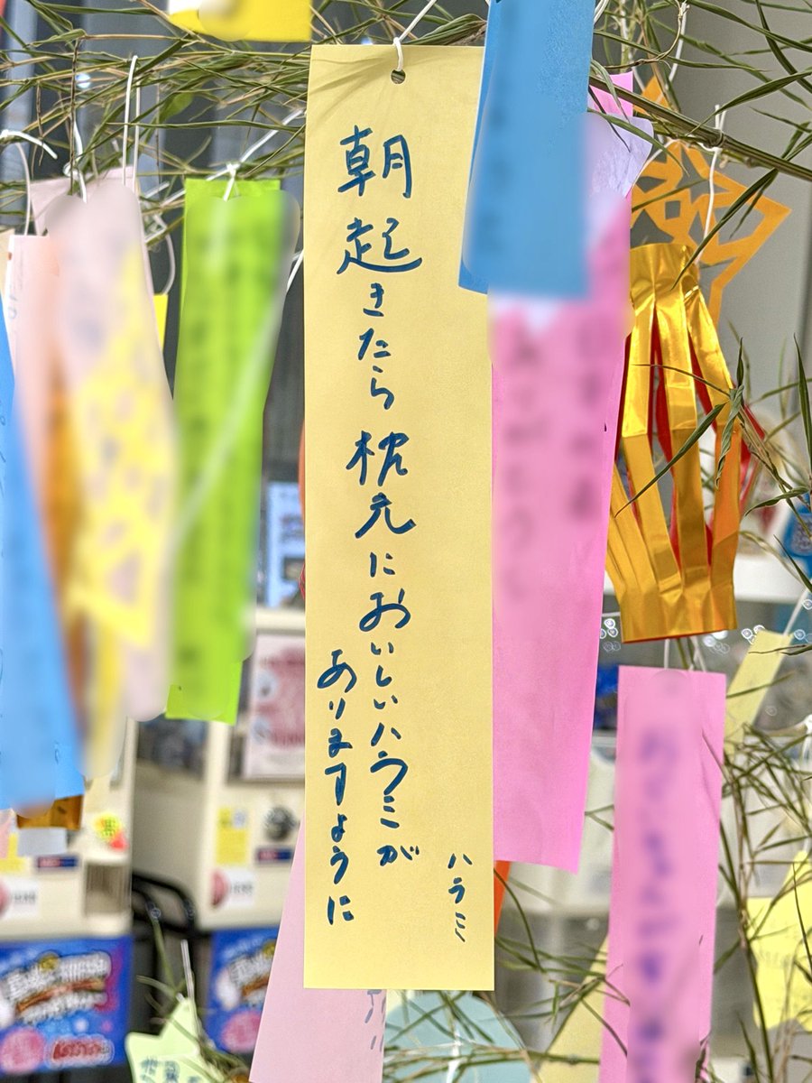 ハラミちゃん🍖🎹47都道府県ツアー！ (@harami_piano) / Posts / X