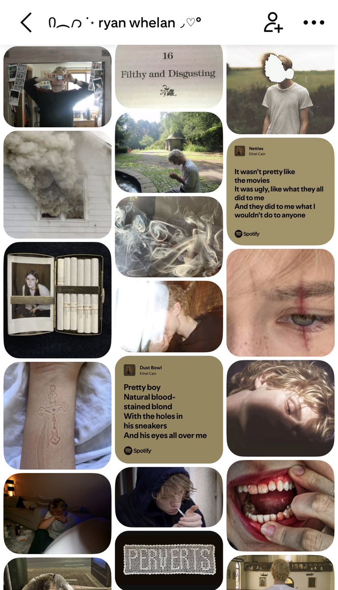 faerienaim's tweet photo. ryanaim through my eyes 🦌🫙🪽 https://t.co/geCudfRInd