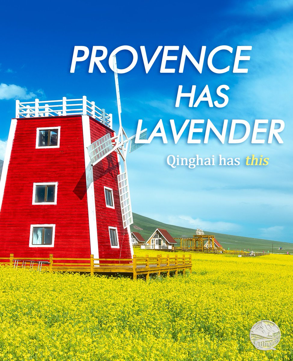 i_Qinghai's tweet photo. Provence has lavender.
Qinghai has Menyuan. πΌ
Every July, this highland valley turns gold with vast rapeseed flower fields under the plateau sky.
πMenyuan, Qinghai
#Qinghai #Menyuan #iQinghai #FlowerFields #MeetQinghai https://t.co/NfivL3eHNQ