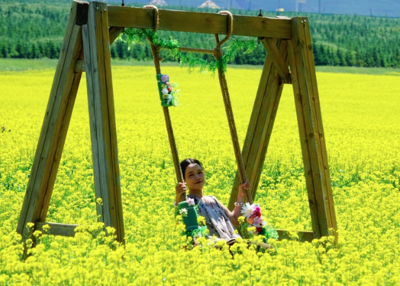 i_Qinghai's tweet photo. Provence has lavender.
Qinghai has Menyuan. πΌ
Every July, this highland valley turns gold with vast rapeseed flower fields under the plateau sky.
πMenyuan, Qinghai
#Qinghai #Menyuan #iQinghai #FlowerFields #MeetQinghai https://t.co/NfivL3eHNQ