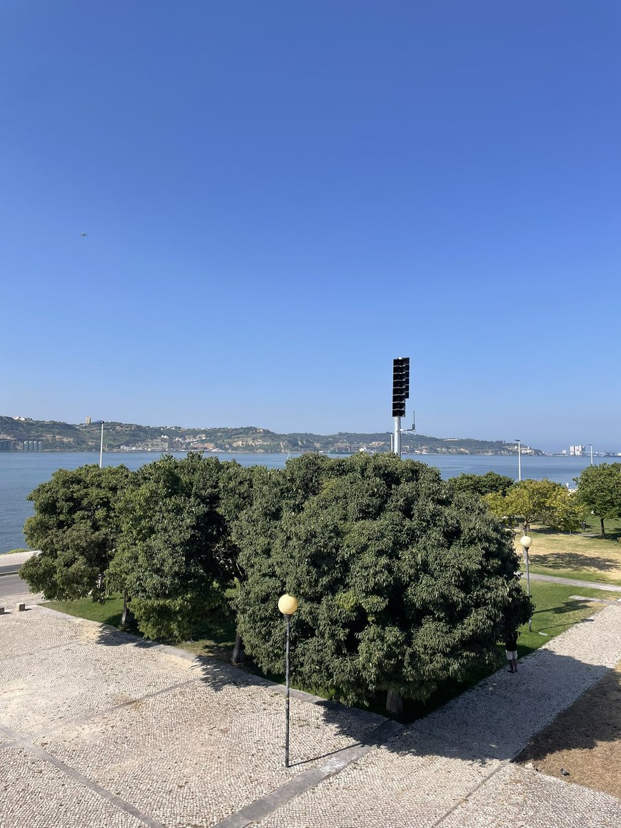 mnvancnd's tweet photo. 今朝のリスボンは、いつもより少し涼しい。

今週末から最高気温が30℃下回るらしいから、これで日中の引きこもり避ければいいけど… https://t.co/gKc4PA281B