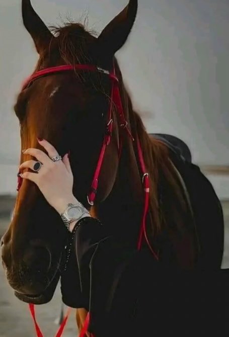 f9a2ik's tweet photo. فديتك يا عمري بنت جاده وما بدها تنشر صورتها اللي جاد ويبغاها يتفضل خاص عمرها 32 وزنها 57 طولها 116 https://t.co/IGtDgXW9Ux